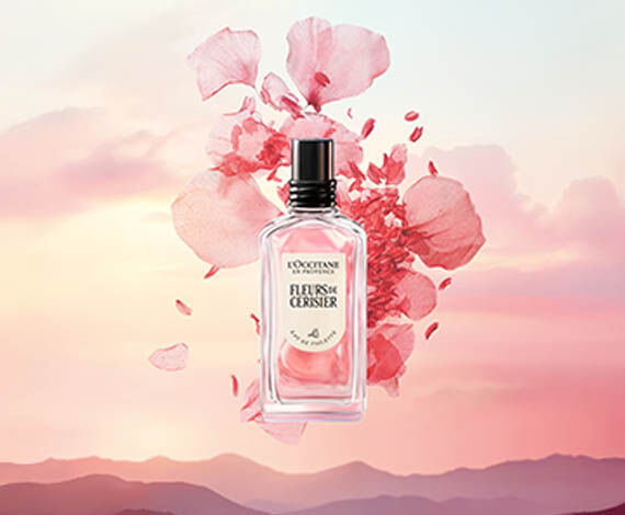 Fragrances & Home | L'OCCITANE IE